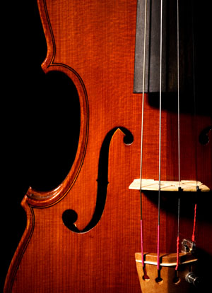 bach and beauty and bureaucracy.